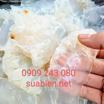 SỨA BIỂN SÀI GÒN